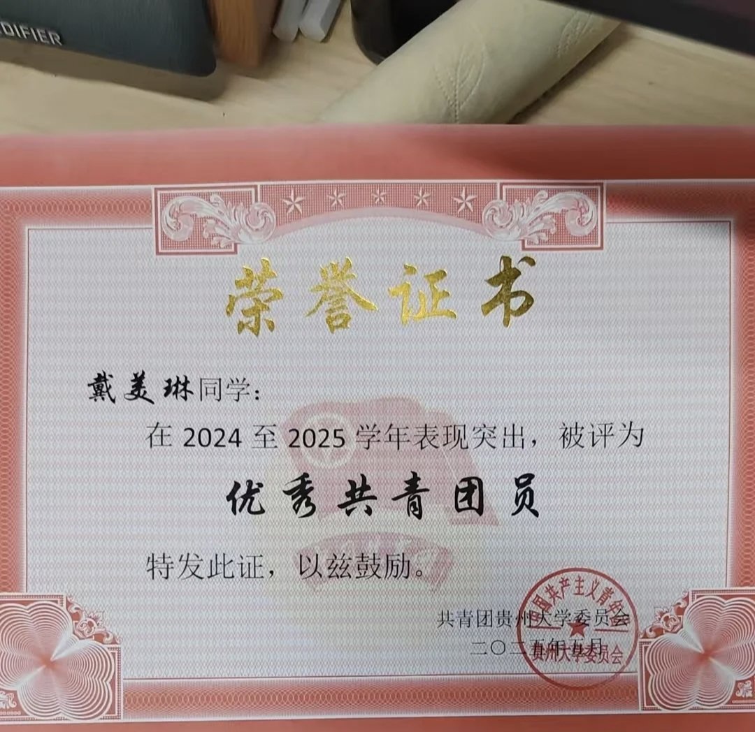 优秀共青团员 证书